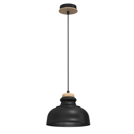 Hanging lamp ASMUND BLACK 1xE27 20cm