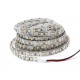 STRIP 120 LED 48W. Color Warm White. IP20. (5 meters)