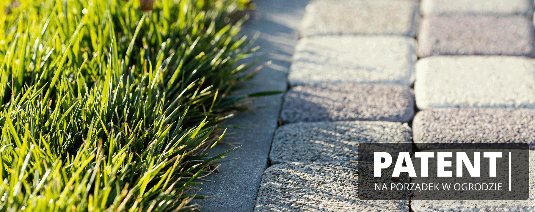 Trawnik i ścieżka z kostki brukowej